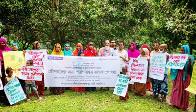 রাজশাহীর বিলনেপালপাড়াকে মৌপতঙ্গের জন্য পরাগবান্ধব এলাকা ঘোষণা