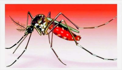 উত্তরবঙ্গে ডেঙ্গু পরিস্থিতির চরম অবনতিঃ  রামেকে এক মাসেই ১২ মৃত্যু, বাড়ছে 'শক সিন্ড্রোম' ও হৃদরোগের ঝুঁকি