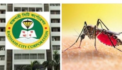 নিয়ন্ত্রনহীন মশার কাছে রাসিকের আত্নসমর্পণ