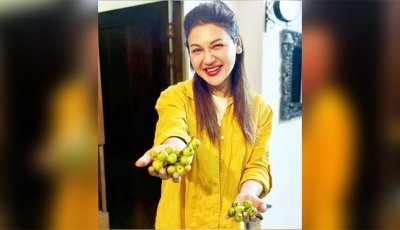 ডুমুর হাতে উচ্ছ্বাস প্রকাশ করলেন জয়া