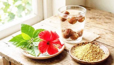 চুল পড়া কমাতে বাড়িতে যেভাবে শ্যাম্পু বানাবেন