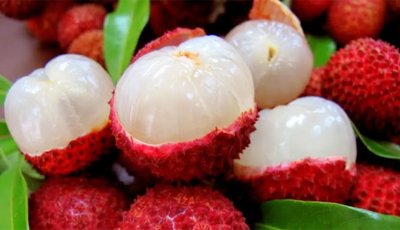 গলায় লিচুর বিচি আটকে প্রাণ গেল এক বছরের শিশুর