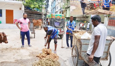 রাসিকের ৩০ টি ওয়ার্ডে কোরবানির বর্জ্য অপসারণ কার্যক্রম চলছে,   সরেজমিনে তদারকি করছেন প্রশাসক রিটন