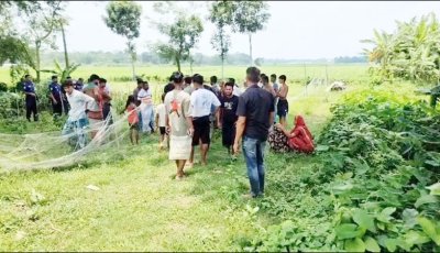 কুড়িয়ে পাওয়া ককটেল হাতে নিতেই বিস্ফোরণ