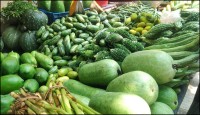 এখন বাজারে কমদামি কোনো সবজি নেই