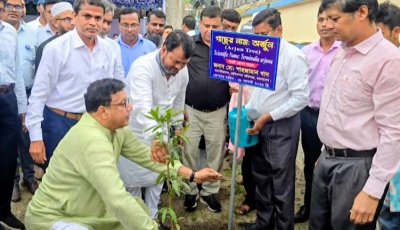 প্রাণিসম্পদ প্রতিষ্ঠানে সবুজায়ন, রাজশাহীতে বৃক্ষরোপণ শুরু