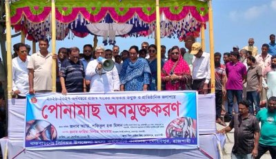 মোহনপুরে বিভিন্ন উন্মুক্ত জলাশয়ে পোনামাছ  অবমুক্তকরণ করলেন এমপি মিলন