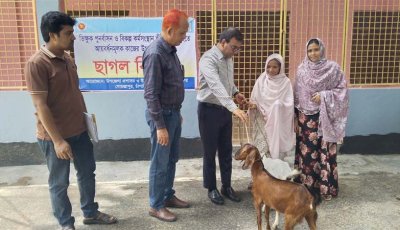 চাঁপাইনবাবগঞ্জে আয়বর্ধনমূলক কাজের উপকরণ হিসেবে ছাগল বিতরণ