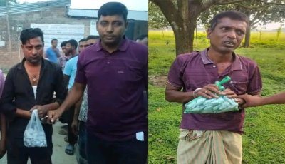 নিয়ামতপুরে গাঁজার পুরিয়া বিক্রির সময়  ২ মাদক কারবারি গ্রেপ্তার