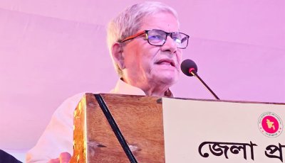 আমাদের রাজনীতি সুন্দর না, পরিচ্ছন্ন না  : মির্জা ফখরুল