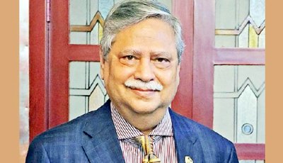 বিএনপি চাইলে থাকব