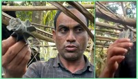 মিয়ানমারের ছোড়া মর্টারশেলের আঘাতে বাংলাদেশিসহ নিহত ২