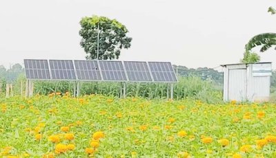 সোলার পাম্পে কমছে সেচ খরচ, বাড়ছে কৃষকের আয়