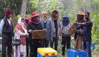শরীয়তপুরের মৌ চাষিরা ব্যস্ত বাণিজ্যিকভাবে মধু উৎপাদনে