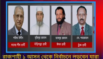 জয়-পরাজয়ে 'ফ্যাক্টর' হতে পারে আওয়ামী লীগের ভোটার