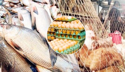 ২০০ টাকার নিচে মিলছে না মাছ - মুরগি, ডিমের ডজন ১৫০