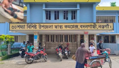 বদলগাছীতে পেট্রোল ঢেলে আগুন, ঝলসে গেলেন পাখি