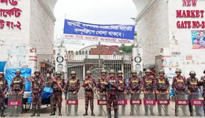 ঢাকাসহ আশপাশের জেলায় বিজিবি মোতায়েন