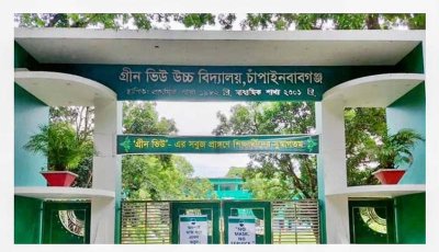 এক ছাত্রী অসুস্থ, এরপর একে একে আরও তিনজন—গ্রিন ভিউ স্কুলে আতঙ্ক
