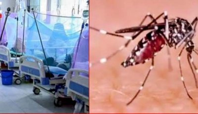 রামেকে ডেঙ্গুর দাপটঃ ২৪ ঘণ্টায় ভর্তি ২৫, এক মাসে মৃত্যু ১৩