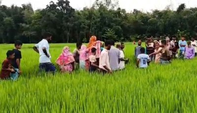 দেবীগঞ্জে ধানক্ষেত থেকে এক নারীর মরদেহ উদ্ধার করেছে পুলিশ