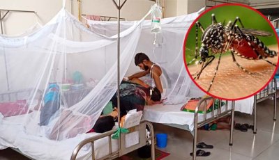 ডেঙ্গু  আক্রান্ত হয়ে প্রাণ গেল ১০ জনের, হাসপাতালে ভর্তি ১৯৯৬ জন