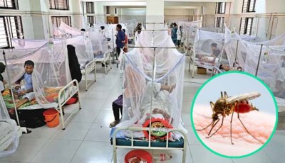 ডেঙ্গু আক্রান্ত হয়ে পাঁচজনের মৃত্যু , হাসপাতালে ভর্তি ১৯২০