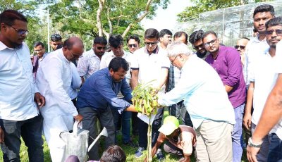 রাজশাহীতে পানি সম্পদ প্রতিমন্ত্রীর বৃক্ষরোপণ -বারনই ও পদ্মা নদীভাঙন এলাকা পরিদর্শন