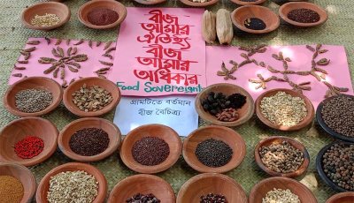 দেশি বীজবৈচিত্র্য রক্ষায় জাতীয় বীজনীতি সংস্কারের দাবি