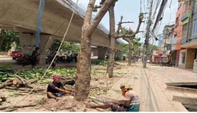 উন্নয়নের নামে রাজশাহীতে ১ বছরেই ২৩ হাজার গাছ নিধন, হুমকিতে নগর পরিবেশ