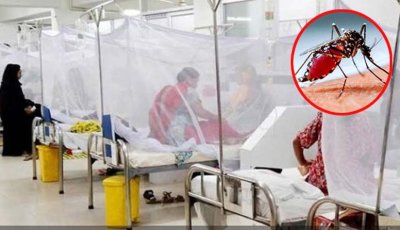 ডেঙ্গুতে একদিনে সর্বোচ্চ ৯ মৃত্যু, হাসপাতালে ভর্তি ১৫৭১জন