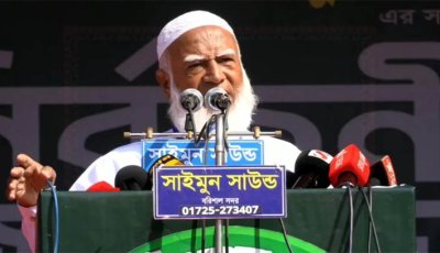 দুর্নীতির পাতা বা ডাল নয়, ঘাড় ধরে টান দেবো
