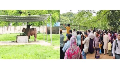 চিড়িয়াখানায় ‘ডোনাল্ড ট্রাম্প’কে দেখতে দর্শনার্থীদের ভিড়