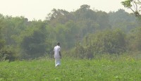 টেকনাফ সীমান্তে থেকে আবারো বিস্ফোরণের শব্দ