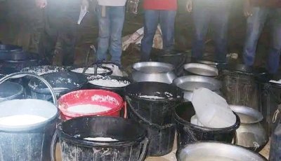 নিয়ামতপুরে ১০০পিচ ট্যাপেন্টাডল ট্যাবলেটসহ গ্রেপ্তার ২, ২৬ লিটার চোলাই মদ জব্দ