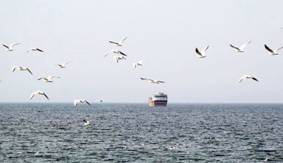 হরমুজ প্রণালী খোলা, তবে সবার জন্য নয়