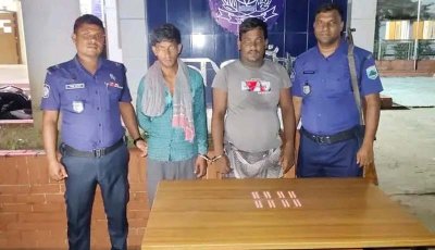 নিয়ামতপুরে ৮০ পিচ ট্যাপেন্টাডল ট্যাবলেটসহ গ্রেপ্তার ২