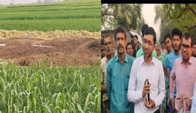 গোদাগাড়ীতে পোল্ট্রি বর্জ্যে পরিবেশ ও জনস্বাস্থ্য মারাত্মক হুমকির মুখে