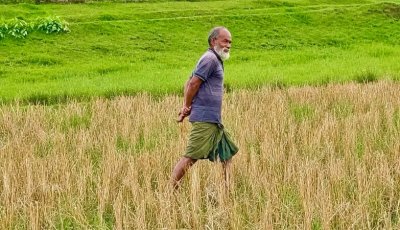 বকশীগঞ্জ সীমান্তে পুশইনের শিকার সেই বৃদ্ধ গোদাগাড়ীর বাসিন্দা, হস্তান্তর প্রক্রিয়া চলছে