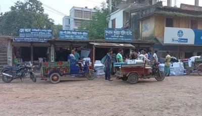 বদলগাছীতে জিআই স্বীকৃত লাকফজলির চাহিদা বাড়লেও বাজার নেই, ক্ষতির মুখে চাষিরা