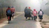 নীলফামারীতে স্কুলের ছুটি আরও ২ দিন বাড়ল