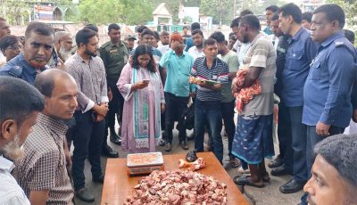 গোদাগাড়ীতে অসুস্থ গরু জবাই করে মাংস বিক্রি, ১০ হাজার টাকা জরিমানা