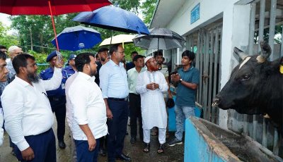 রাজাবাড়ী হাটে আঞ্চলিক কৃত্রিম প্রজনন  গবেষণাগার পরিদর্শনে মৎস্য ও প্রাণিসম্পদ প্রতিমন্ত্রী