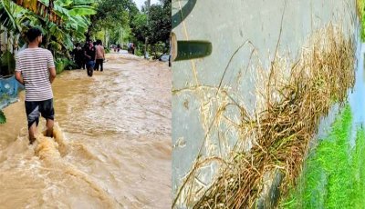 বাড়ছে পদ্মার পানি , ডুবছে সড়ক-নিচু এলাকা ॥  বন্যা-ভাঙনের আতঙ্কে বাঘার চরাঞ্চলের মানুষ