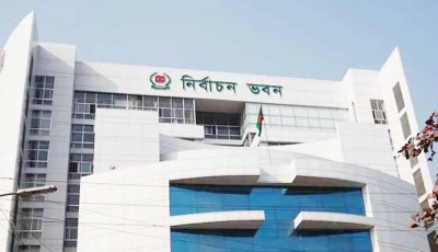 নভেম্বরের মাঝামাঝিতে শুরু হবে স্থানীয় সরকার নির্বাচন