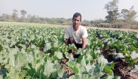 সৌরশক্তির সেচে সবজি চাষে সফল কৃষক