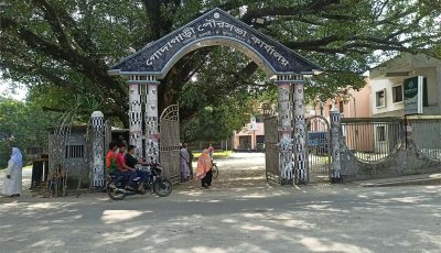 গোদাগাড়ীতে বাড়ছে ডেঙ্গুর প্রকোপ আতঙ্কে পৌরবাসী,পরীক্ষা অনুপাতে বাড়ছে পজিটিভের হার