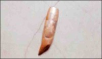 রাখাইনে সংঘাত থেকে আবারও এপাড়ে গুলি