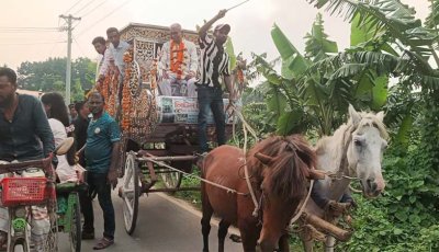 নওগাঁর বদলগাছীতে চার দশকের শিক্ষকতা শেষে রাজকীয় বিদায় পেলেন অসীম কুমার মন্ডল