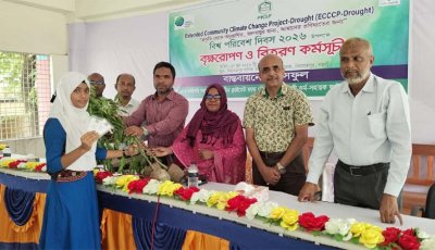 নিয়ামতপুরে  ঘাসফুল এনজিওর  বৃক্ষরোপণ ও বিতরণ